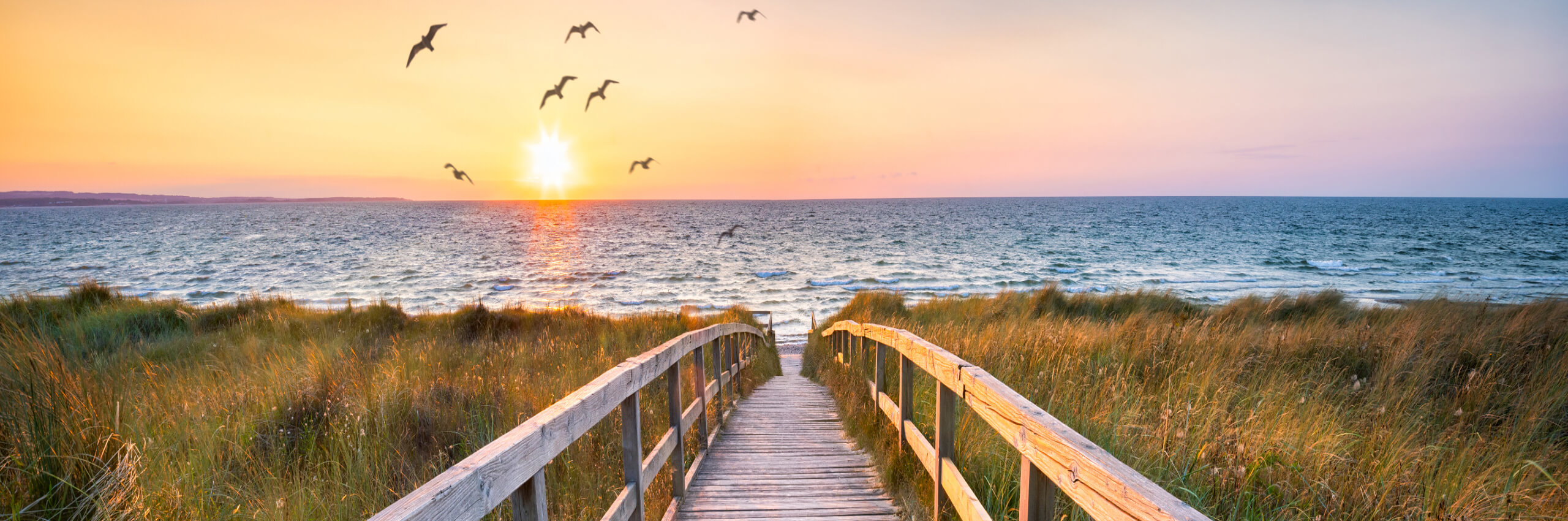 Wooden boardwalk leads through grassy dunes to a sandy beach at sunset, with the sun low on the horizon and birds flying in the colorful sky over gentle ocean waves.